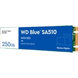 WD Blue SA510 250 GB, SSD blau/weiß, SATA 6 Gb/s, M.2 2280