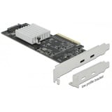 DeLOCK PCIe x8 > 2x extern USB-X 3.2 Gen 2x2 