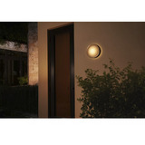 Philips HUE White & Color Ambiance Daylo Outdoor Wandleuchte, LED-Leuchte silber