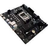 Biostar A620MS, Mainboard schwarz
