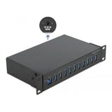 DeLOCK 25,4 cm (10") Industrie Hub 10 x USB 3.2 Gen 1 Typ-A, USB-Hub schwarz