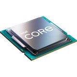 Intel® Core™ i5-11600K, Prozessor Tray-Version