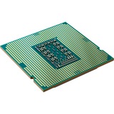 Intel® Core™ i5-11600K, Prozessor Tray-Version