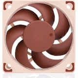 Noctua NF-A6x15 FLX, Gehäuselüfter 60 mm