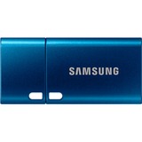 SAMSUNG Type-C 256 GB, USB-Stick blau, USB-C 3.2 Gen 1