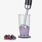 Severin Stabmixer SM 3772 schwarz/edelstahl, 600 Watt, mit Zerkleinerer und Schneebesen