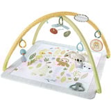 Fisher-Price Fisher-Price Simply Senses Sensorische Erlebnisdecke, Spielbogen/Decke 