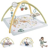 Fisher-Price Fisher-Price Simply Senses Sensorische Erlebnisdecke, Spielbogen/Decke 