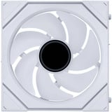 Lian Li UNI FAN SL-INF 120 WL, Gehäuselüfter 120 mm