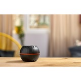 Shelly H&T, Thermodetektor schwarz