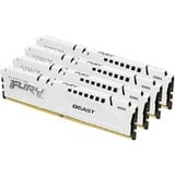 Kingston FURY DIMM 64 GB DDR5-5600 (4x 16 GB) Quad-Kit, Arbeitsspeicher weiß, KF556C40BWK4-64, Fury Beast, INTEL XMP