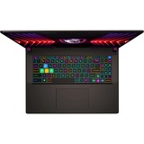 MSI Vector 17 HX A14VHG-1009, Gaming-Notebook Intel® Core™ i9-14900HX, NVIDIA GeForce RTX 4080, 32 GB DDR5, 1 TB (1 TB SSD), Windows 11 Home 64-Bit