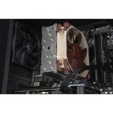 ALTERNATE Gaming-PC Special Edition • RTX 4060 • AMD Ryzen™ 5 5600 • 16 GB RAM schwarz/transparent, Windows 11 Home 64-Bit