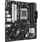 ASUS PRIME A620AM-A-CSM, Mainboard 