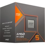 Ryzen™ 5 8600G, Prozessor