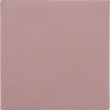Thermal Grizzly Minus Pad 8 - 100x 100x 1,0 mm, Wärmeleitpads rosa, 2 Stück