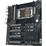 ASUS PRO WS W890-SAGE, Mainboard 