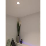 Shelly LightSolutions Hilux DS8 Einbaustrahler, LED-Leuchte schwarz