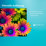 Toshiba 65QV2363DA, QLED-Fernseher 164 cm (65 Zoll), schwarz, UltraHD/4K, Triple Tuner, Smart TV, VIDAA