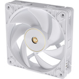 ASUS ProArt PF120, Gehäuselüfter weiß, 3er Pack, 120 mm