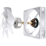 ASUS ProArt PF120, Gehäuselüfter weiß, 3er Pack, 120 mm