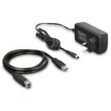 DeLOCK Dual Dockingstation für 2 x SATA HDD / SSD mit Klon Funktion