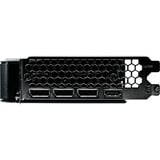 Gainward GeForce RTX 5060 Ghost 8GB, Grafikkarte DLSS 4, 3x DisplayPort, 1x HDMI 2.1