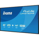 iiyama ProLite LH4375UHS-B2AG, Public Display schwarz (matt), UltraHD/4K, IPS, Lautsprecher, Daisy Chain