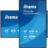 iiyama ProLite LH4375UHS-B2AG, Public Display schwarz (matt), UltraHD/4K, IPS, Lautsprecher, Daisy Chain