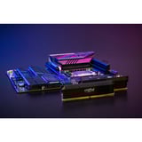 Crucial DIMM 32 GB DDR5-6000 (2x 16 GB) Dual-Kit, Arbeitsspeicher schwarz, CP2K16G60C36U5B, Pro Overclocking, INTEL XMP, AMD EXPO