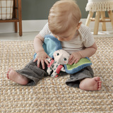 Fisher-Price Planet Friends Riesenohr Elefant, Kuscheltier 