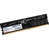 ADATA DIMM 16 GB DDR5-5600 (1x 16 GB), Arbeitsspeicher schwarz, GD5U5600716G-SMI, Gold