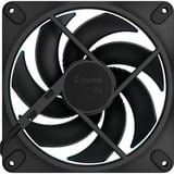 Fractal Design Momentum 14 RGB, Gehäuselüfter schwarz, 3er-Pack, 140 mm