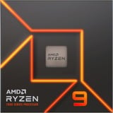 AMD Ryzen™ 9 7900, Prozessor Boxed-Version