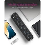 ICY BOX IB-HUB 1720-U3, USB-Hub schwarz