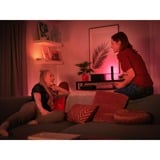 Philips HUE White & Color Ambiance Play Lightbar, LED-Leuchte weiß, Doppelpack