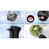 Bosch Home Stabmixer ErgoMaster MSM4B620 schwarz/anthrazit, 1.000 Watt, mit Zerkleinerer