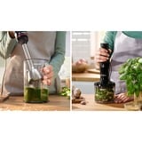 Bosch Home Stabmixer ErgoMaster MSM4B620 schwarz/anthrazit, 1.000 Watt, mit Zerkleinerer