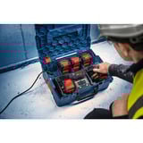 Bosch Expert Akku EXBA18V-80 Professional, 2 Stück schwarz, AMPShare Alliance