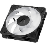 ARCTIC P12 Pro A-RGB, Gehäuselüfter schwarz, 3er Pack, 120 mm