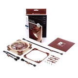 Noctua NF-A12x25 LS-PWM 120x120x25, Gehäuselüfter 120 mm