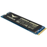 Team Group CARDEA ZERO Z440 1 TB, SSD schwarz/gold, PCIe 4.0 x4, NVMe 1.3, M.2 2280