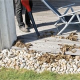 EINHELL Power X-Change Akku-Laubbläser GC-CL 18 Li E Kit, 18Volt rot/schwarz, Li-Ionen Akku 2,0Ah