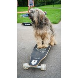 Muuwmi Lights Longboard GLOW ABEC 7 Pablo, Skateboard schwarz/grün, mit Leuchtrollen und Glow-Effekt