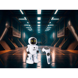 Revell RC Roboter "Smart-R" 