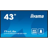 iiyama ProLite LH4360UHS-B1AG, Public Display schwarz, UltraHD/4K, IPS, Lautsprecher