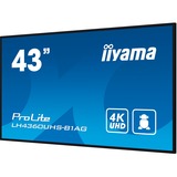 iiyama ProLite LH4360UHS-B1AG, Public Display schwarz (matt), UltraHD/4K, VA, Lautsprecher