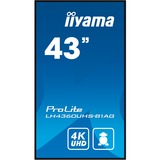 iiyama ProLite LH4360UHS-B1AG, Public Display schwarz, UltraHD/4K, IPS, Lautsprecher
