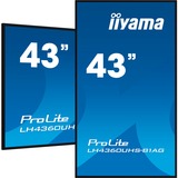 iiyama ProLite LH4360UHS-B1AG, Public Display schwarz, UltraHD/4K, IPS, Lautsprecher