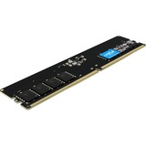 Crucial DIMM 32 GB DDR5-4800 , Arbeitsspeicher schwarz, CT32G48C40U5